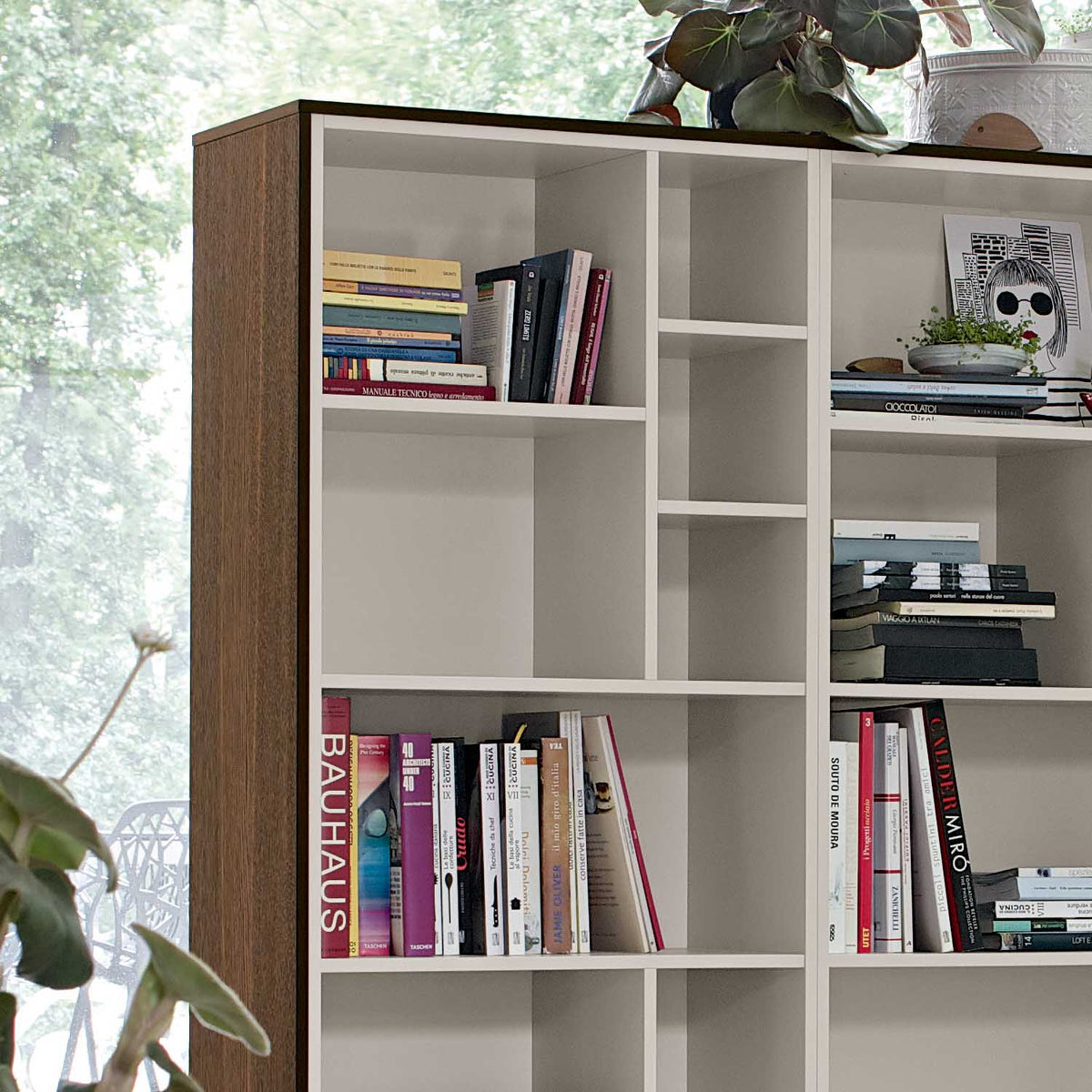 Code 10 display cabinet with bookshelves by Dall'Agnese